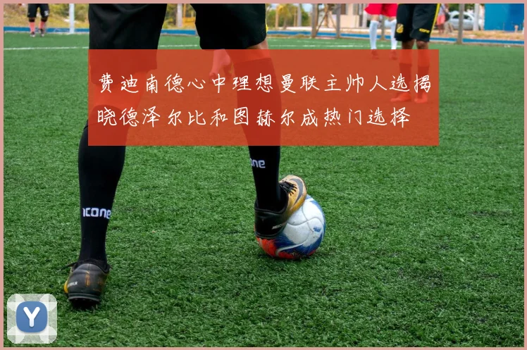 费迪南德心中理想曼联主帅人选揭晓德泽尔比和图赫尔成热门选择