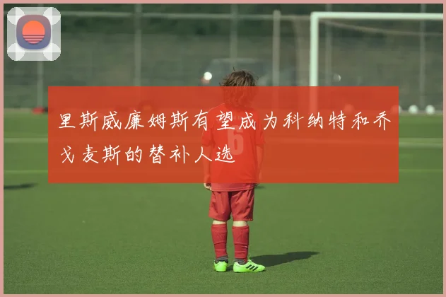 里斯威廉姆斯有望成为科纳特和乔戈麦斯的替补人选