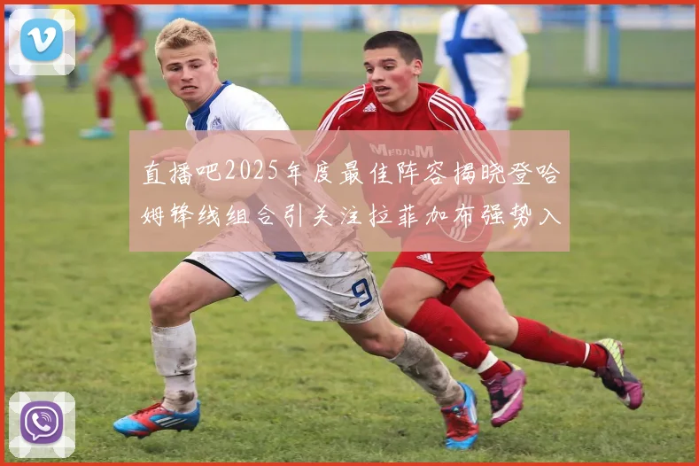 直播吧2025年度最佳阵容揭晓登哈姆锋线组合引关注拉菲加布强势入选