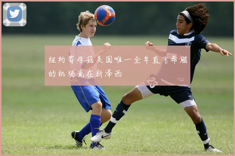 纽约寄母菇美国唯一全年直飞希腊的机场竟在新泽西